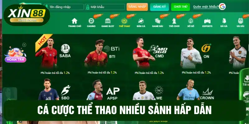 Cá cược thể thao tại XIN88 